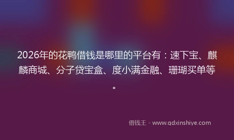 2026年的花鸭借钱是哪里的平台有：速下宝、麒麟商城、分子贷宝盒、度小满金融、珊瑚买单等。
