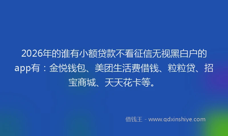 2026年的谁有小额贷款不看征信无视黑白户的app有：金悦钱包、美团生活费借钱、粒粒贷、招宝商城、天天花卡等。