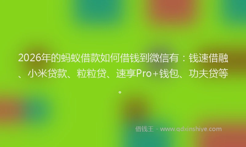 2026年的蚂蚁借款如何借钱到微信有：钱速借融、小米贷款、粒粒贷、速享Pro+钱包、功夫贷等。