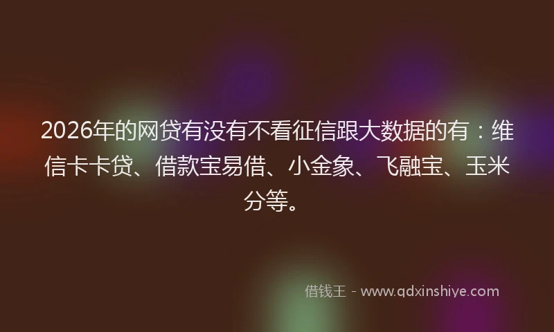 2026年的网贷有没有不看征信跟大数据的有：维信卡卡贷、借款宝易借、小金象、飞融宝、玉米分等。