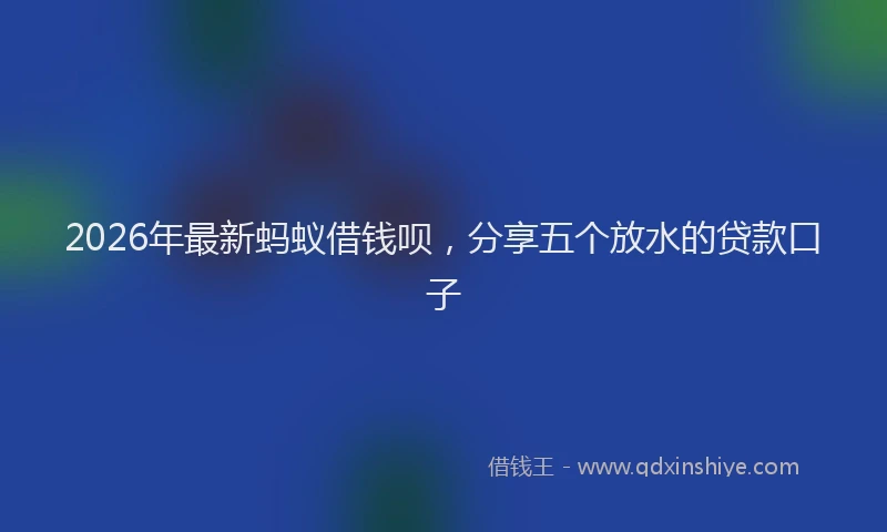 2026年最新蚂蚁借钱呗，分享五个放水的贷款口子