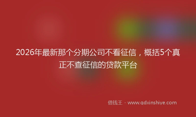 2026年最新那个分期公司不看征信，概括5个真正不查征信的贷款平台