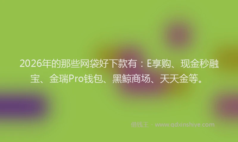 2026年的那些网袋好下款有：E享购、现金秒融宝、金瑞Pro钱包、黑鲸商场、天天金等。
