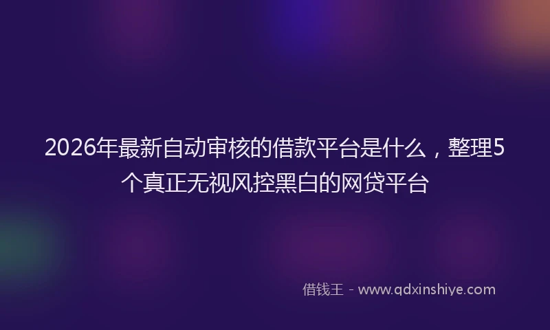 2026年最新自动审核的借款平台是什么，整理5个真正无视风控黑白的网贷平台