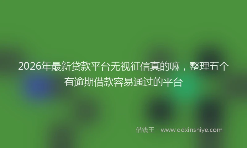 2026年最新贷款平台无视征信真的嘛，整理五个有逾期借款容易通过的平台