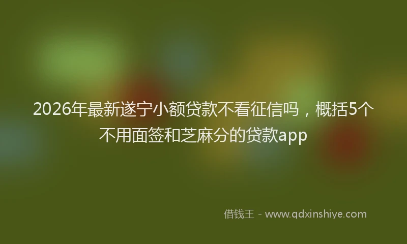 2026年最新遂宁小额贷款不看征信吗，概括5个不用面签和芝麻分的贷款app