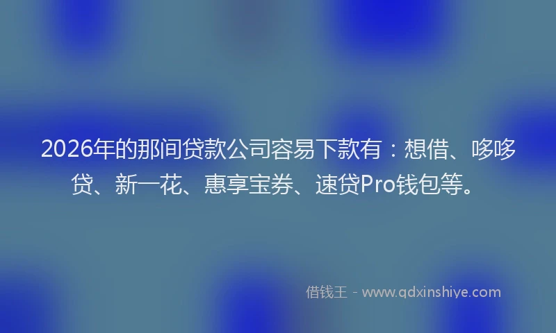 2026年的那间贷款公司容易下款有：想借、哆哆贷、新一花、惠享宝券、速贷Pro钱包等。
