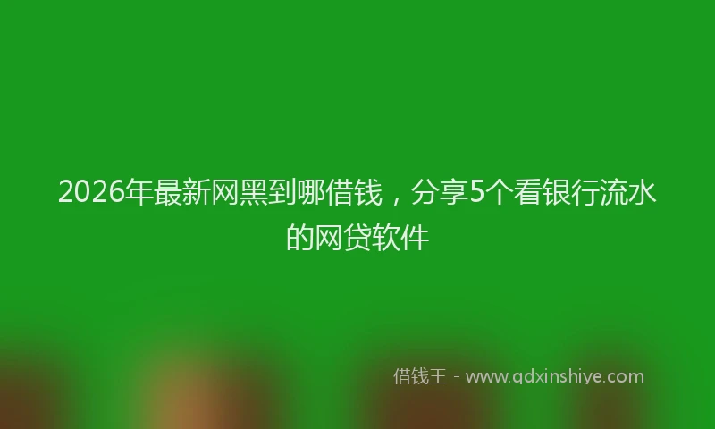 2026年最新网黑到哪借钱，分享5个看银行流水的网贷软件