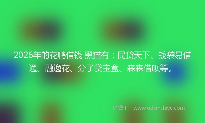 2026年的花鸭借钱 黑猫有：民贷天下、钱袋易借通、融逸花、分子贷宝盒、森森借呗等。