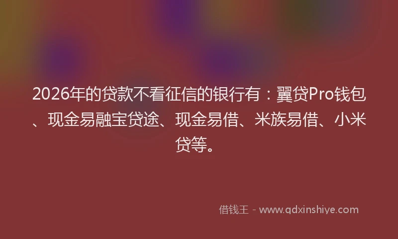2026年的贷款不看征信的银行有：翼贷Pro钱包、现金易融宝贷途、现金易借、米族易借、小米贷等。
