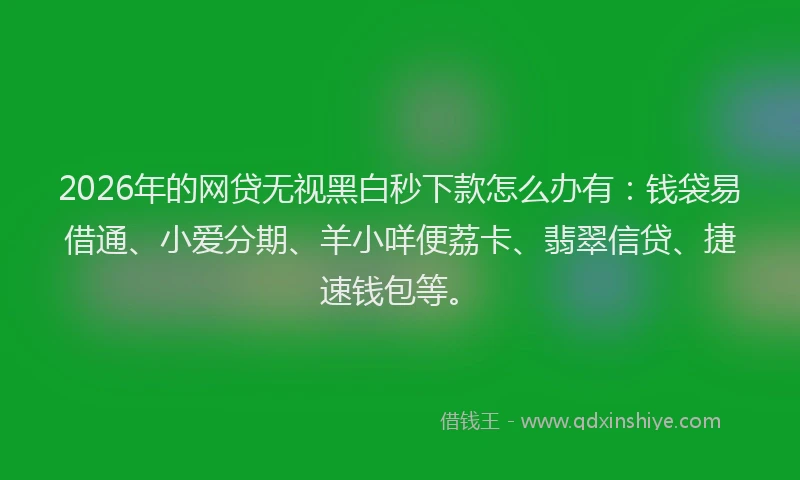 2026年的网贷无视黑白秒下款怎么办有：钱袋易借通、小爱分期、羊小咩便荔卡、翡翠信贷、捷速钱包等。