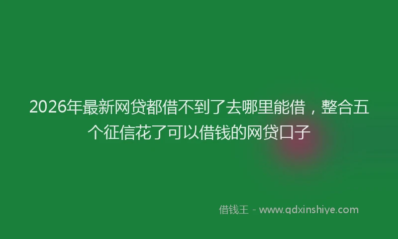 2026年最新网贷都借不到了去哪里能借，整合五个征信花了可以借钱的网贷口子