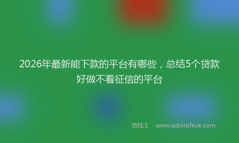 2026年最新能下款的平台有哪些，总结5个贷款好做不看征信的平台
