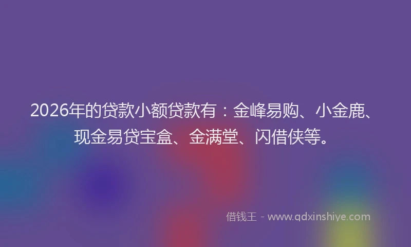 2026年的贷款小额贷款有：金峰易购、小金鹿、现金易贷宝盒、金满堂、闪借侠等。