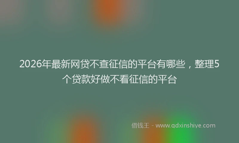 2026年最新网贷不查征信的平台有哪些，整理5个贷款好做不看征信的平台