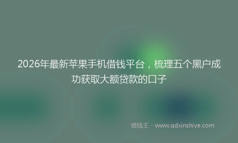 2026年最新苹果手机借钱平台，梳理五个黑户成功获取大额贷款的口子