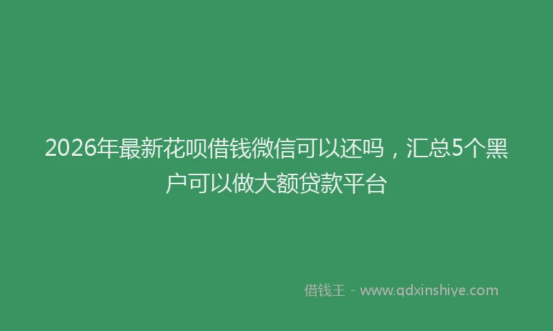 2026年最新花呗借钱微信可以还吗，汇总5个黑户可以做大额贷款平台