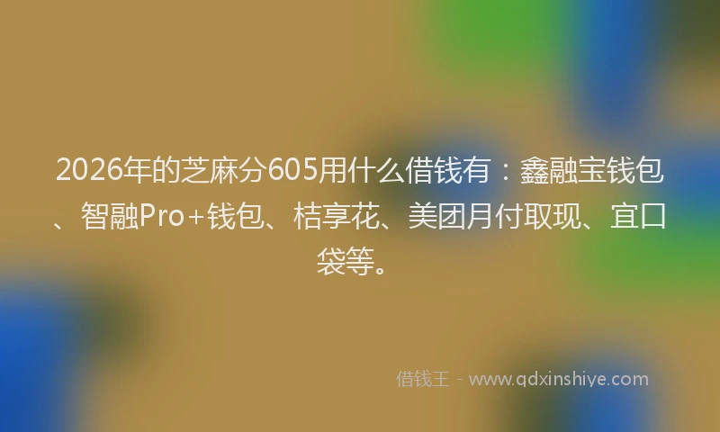 2026年的芝麻分605用什么借钱有：鑫融宝钱包、智融Pro+钱包、桔享花、美团月付取现、宜口袋等。
