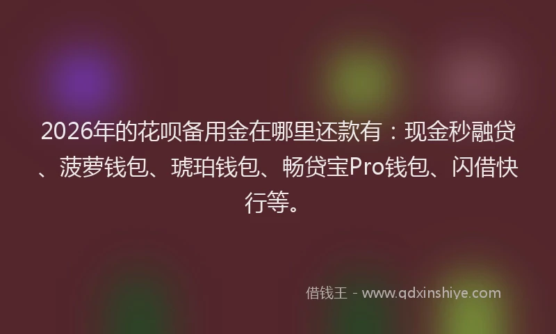2026年的花呗备用金在哪里还款有：现金秒融贷、菠萝钱包、琥珀钱包、畅贷宝Pro钱包、闪借快行等。