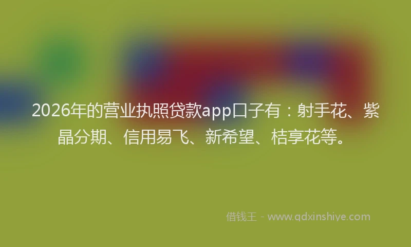2026年的营业执照贷款app口子有：射手花、紫晶分期、信用易飞、新希望、桔享花等。