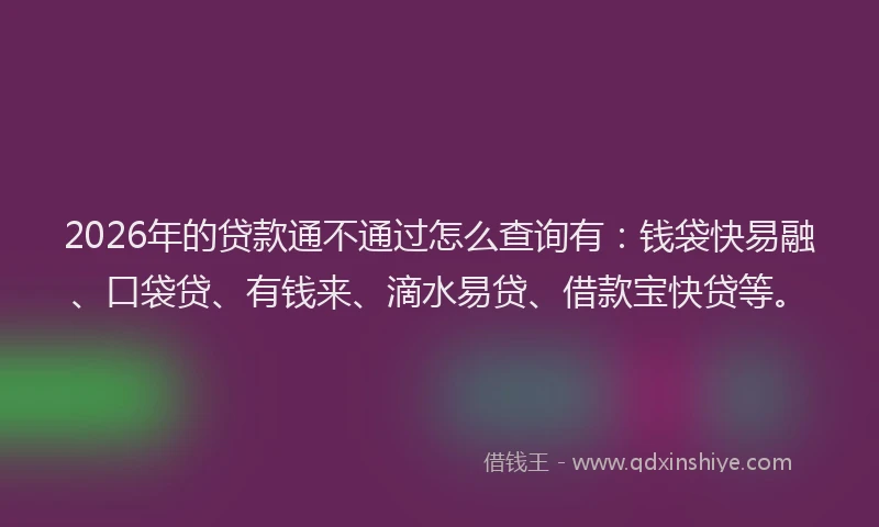2026年的贷款通不通过怎么查询有：钱袋快易融、口袋贷、有钱来、滴水易贷、借款宝快贷等。