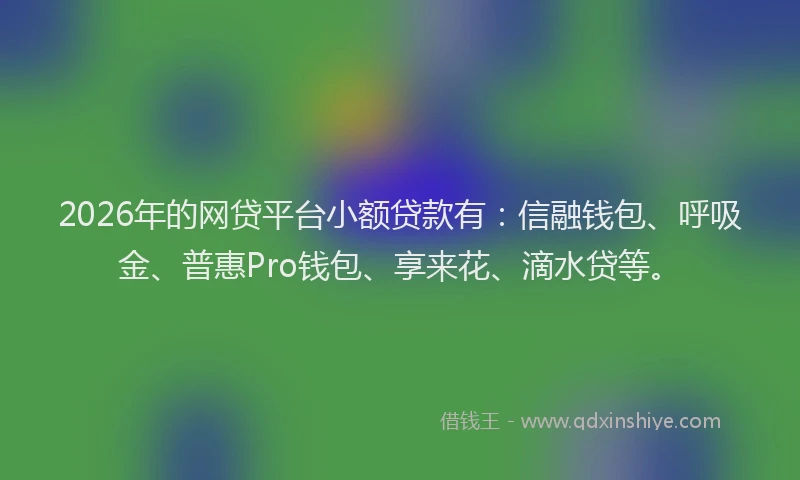 2026年的网贷平台小额贷款有：信融钱包、呼吸金、普惠Pro钱包、享来花、滴水贷等。