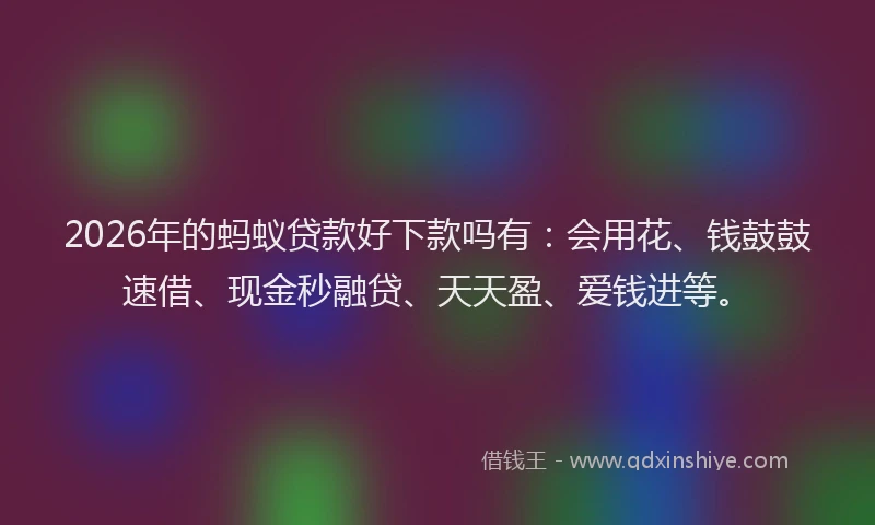 2026年的蚂蚁贷款好下款吗有：会用花、钱鼓鼓速借、现金秒融贷、天天盈、爱钱进等。