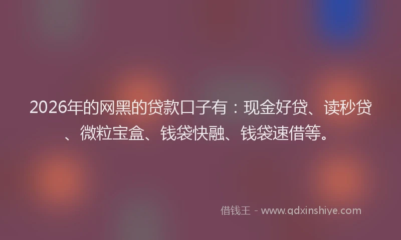 2026年的网黑的贷款口子有：现金好贷、读秒贷、微粒宝盒、钱袋快融、钱袋速借等。