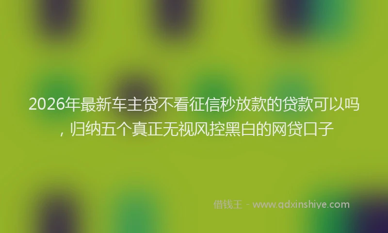 2026年最新车主贷不看征信秒放款的贷款可以吗，归纳五个真正无视风控黑白的网贷口子