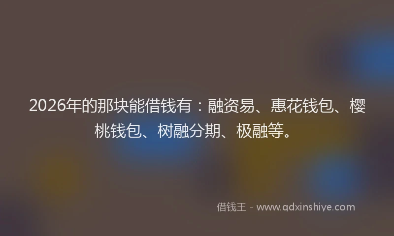 2026年的那块能借钱有：融资易、惠花钱包、樱桃钱包、树融分期、极融等。