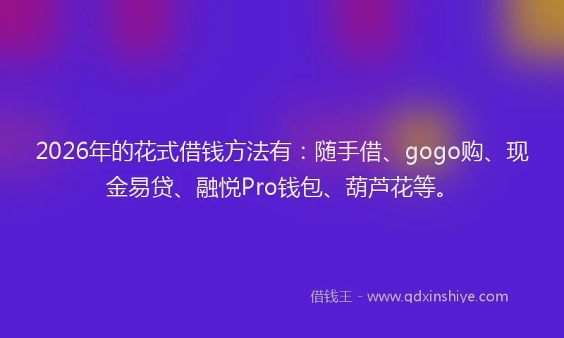 2026年的花式借钱方法有：随手借、gogo购、现金易贷、融悦Pro钱包、葫芦花等。