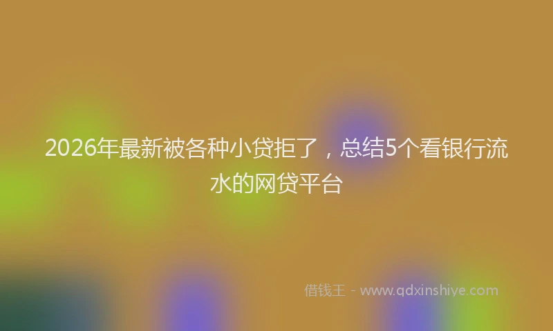2026年最新被各种小贷拒了，总结5个看银行流水的网贷平台