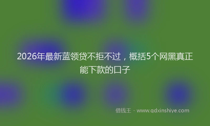 2026年最新蓝领贷不拒不过，概括5个网黑真正能下款的口子