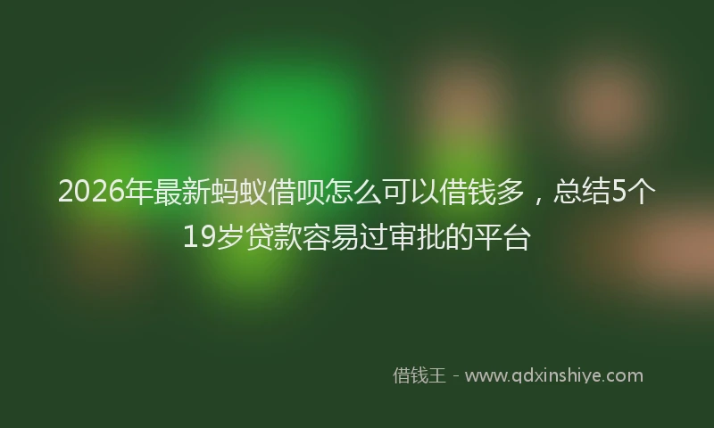 2026年最新蚂蚁借呗怎么可以借钱多，总结5个19岁贷款容易过审批的平台