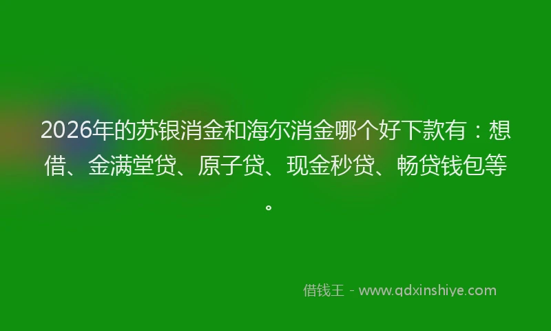 2026年的苏银消金和海尔消金哪个好下款有：想借、金满堂贷、原子贷、现金秒贷、畅贷钱包等。