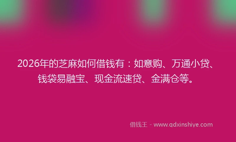 2026年的芝麻如何借钱有：如意购、万通小贷、钱袋易融宝、现金流速贷、金满仓等。