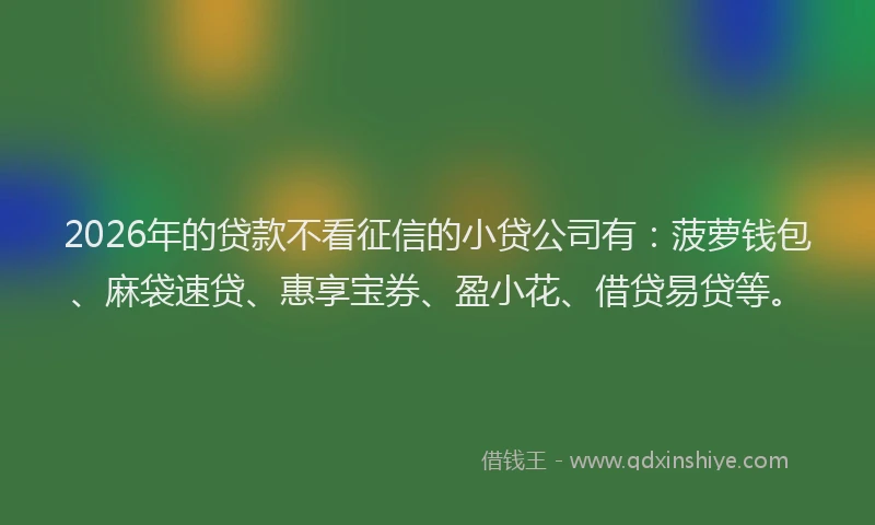 2026年的贷款不看征信的小贷公司有：菠萝钱包、麻袋速贷、惠享宝券、盈小花、借贷易贷等。