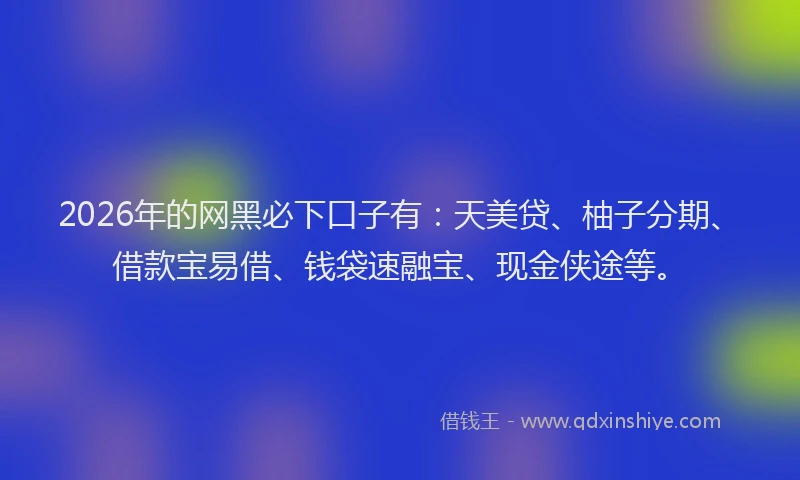 2026年的网黑必下口子有：天美贷、柚子分期、借款宝易借、钱袋速融宝、现金侠途等。