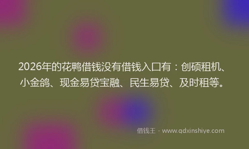 2026年的花鸭借钱没有借钱入囗有：创硕租机、小金鸽、现金易贷宝融、民生易贷、及时租等。