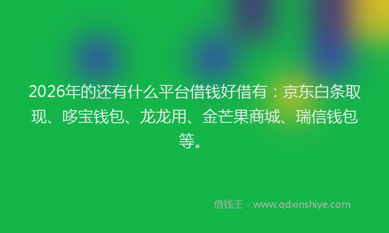 2026年的还有什么平台借钱好借有：京东白条取现、哆宝钱包、龙龙用、金芒果商城、瑞信钱包等。