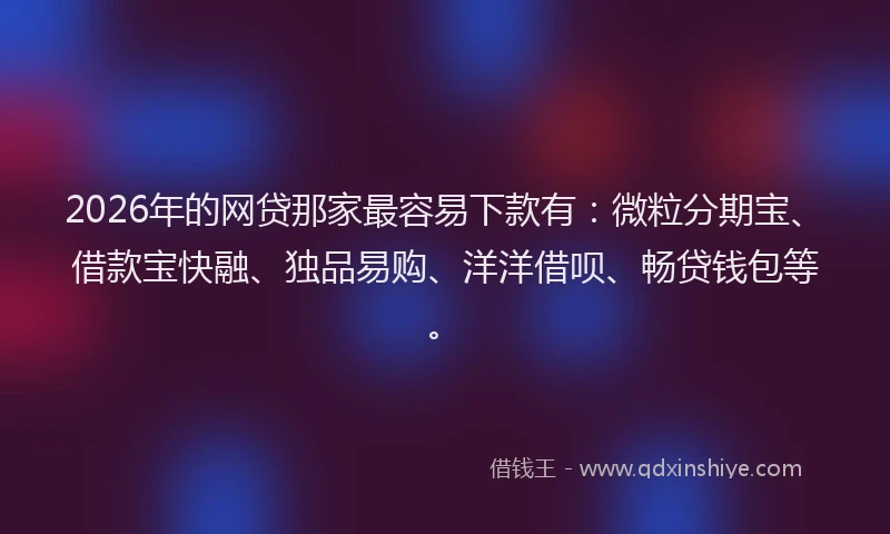 2026年的网贷那家最容易下款有：微粒分期宝、借款宝快融、独品易购、洋洋借呗、畅贷钱包等。