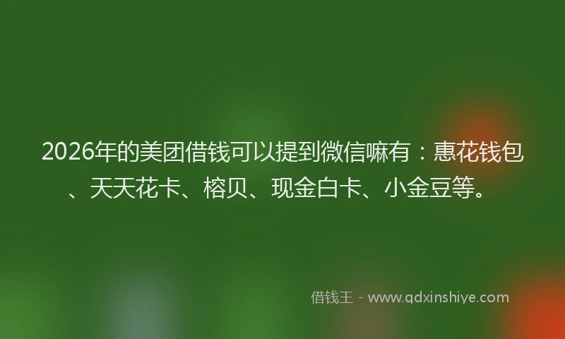 2026年的美团借钱可以提到微信嘛有：惠花钱包、天天花卡、榕贝、现金白卡、小金豆等。