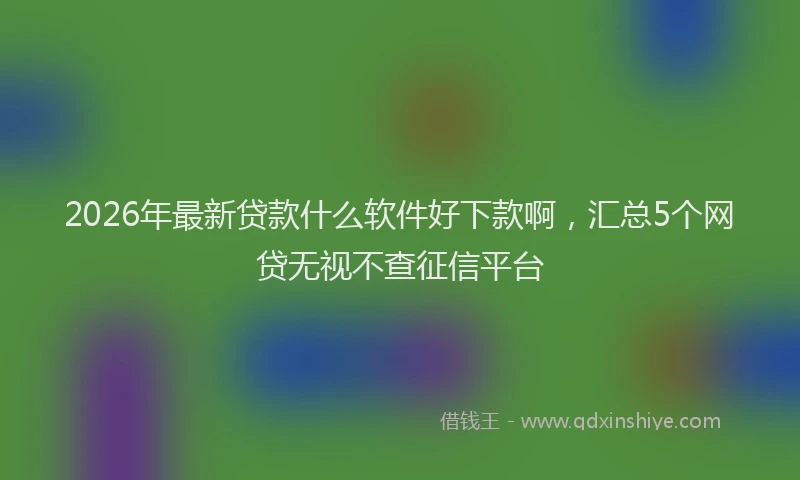 2026年最新贷款什么软件好下款啊，汇总5个网贷无视不查征信平台