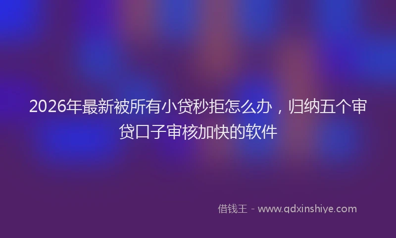 2026年最新被所有小贷秒拒怎么办，归纳五个审贷口子审核加快的软件