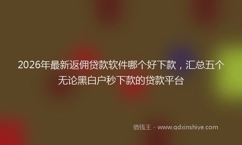 2026年最新返佣贷款软件哪个好下款，汇总五个无论黑白户秒下款的贷款平台