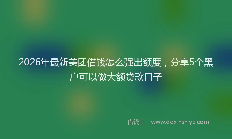 2026年最新美团借钱怎么强出额度，分享5个黑户可以做大额贷款口子