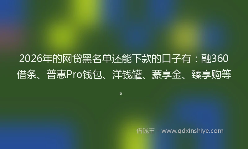 2026年的网贷黑名单还能下款的口子有：融360借条、普惠Pro钱包、洋钱罐、蒙享金、臻享购等。