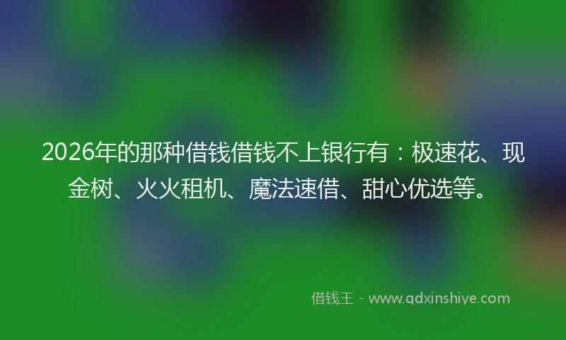 2026年的那种借钱借钱不上银行有：极速花、现金树、火火租机、魔法速借、甜心优选等。