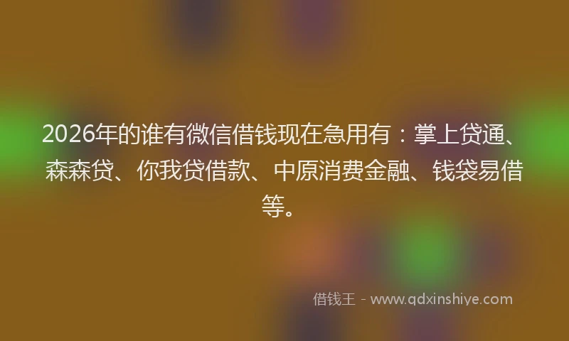 2026年的谁有微信借钱现在急用有：掌上贷通、森森贷、你我贷借款、中原消费金融、钱袋易借等。
