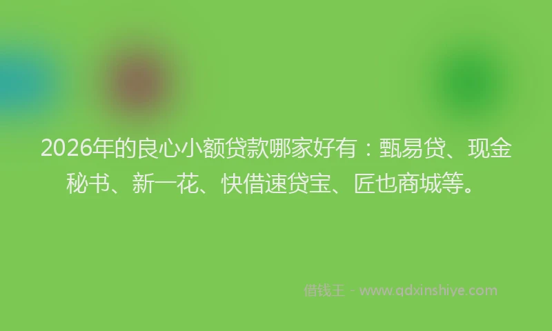 2026年的良心小额贷款哪家好有：甄易贷、现金秘书、新一花、快借速贷宝、匠也商城等。